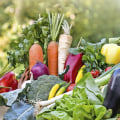 Which vegetables are high in vitamins?