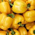 The Most Nutrient-Rich Foods: A Comprehensive Guide